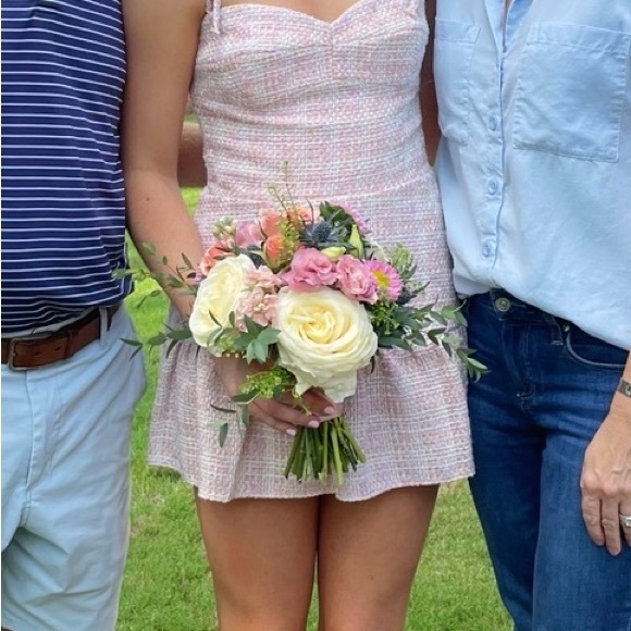 Amanda Uprichard Pink and White Mini Dress - Picture 3 of 4